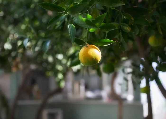 公寓式酒店 爱琴海村酒店
