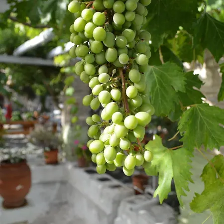 Apartahotel Aegean Village