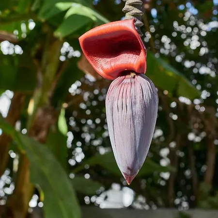 爱琴海村酒店 Páros