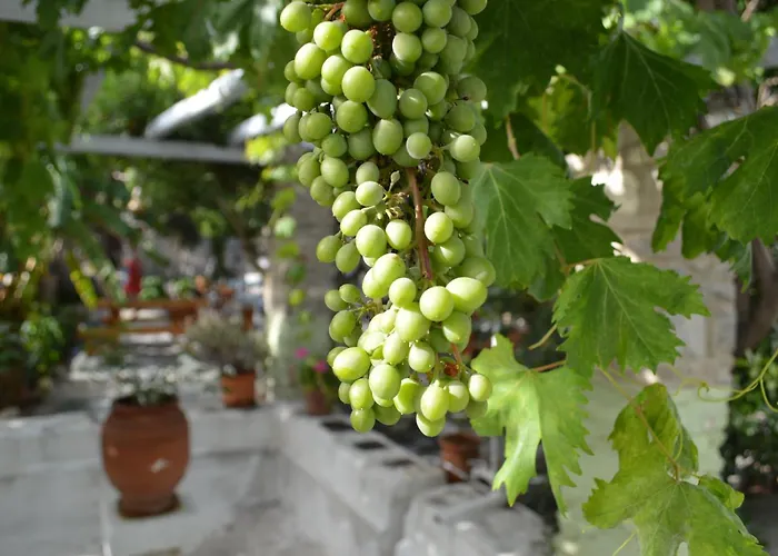 Ξενοδοχείο με διαμερίσματα Aegean Village